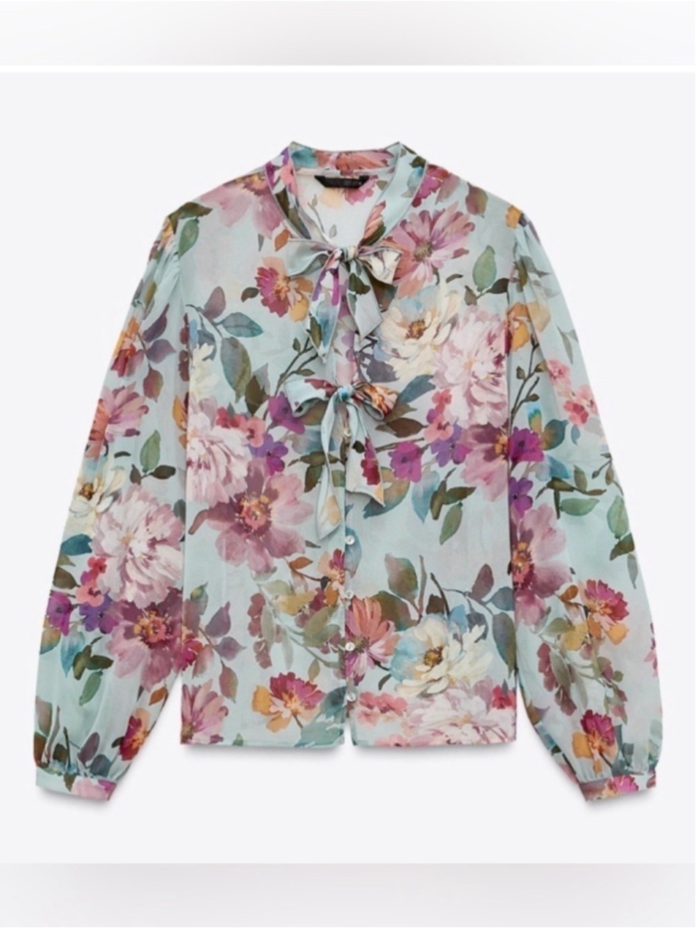 Zara sheer floral blouse Small long sleeve Copenhagen Romantic Feminine